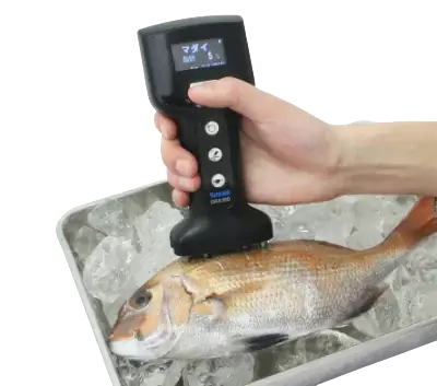 Fish Analyzer