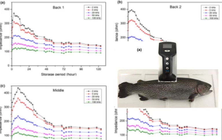 Estimating freshness of ice storage of rainbow trout using Fish Analyzer’s bio-electrical impedance analysis