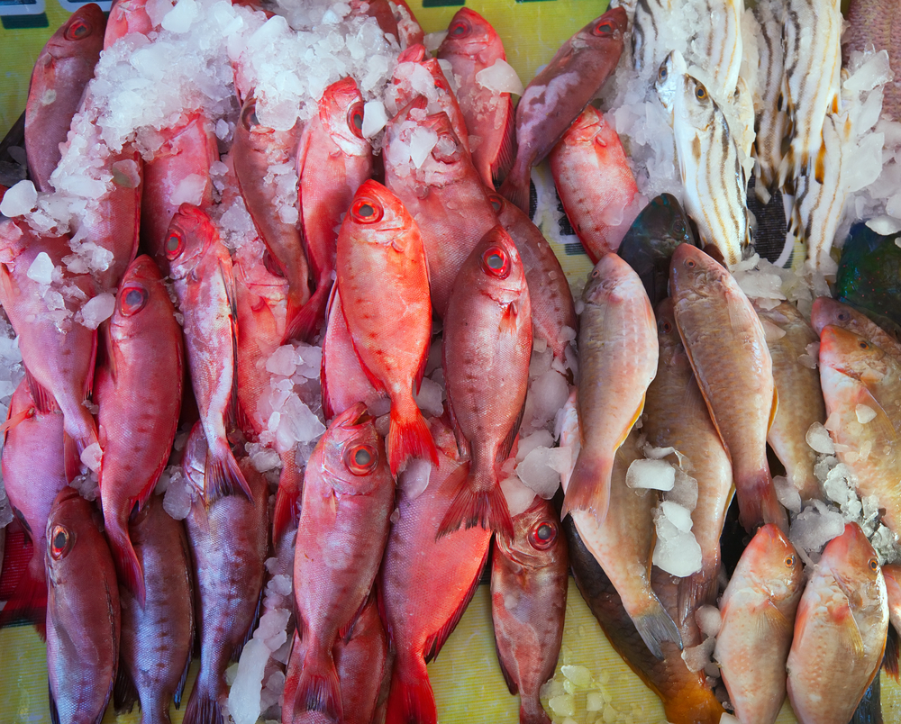 Maximizing the quality and storage life of fresh seafood products