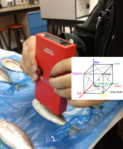 Comparison of Fish Freshness Meter vs. RGB color indices to Determine Fish Freshness